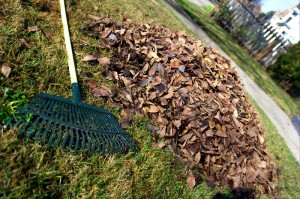 Luxury condo lifestyle means no more raking leaves