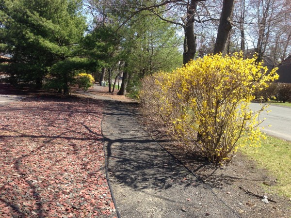 Great Oaks Jogging Path - Outdoor Albany Office Rental Amenities